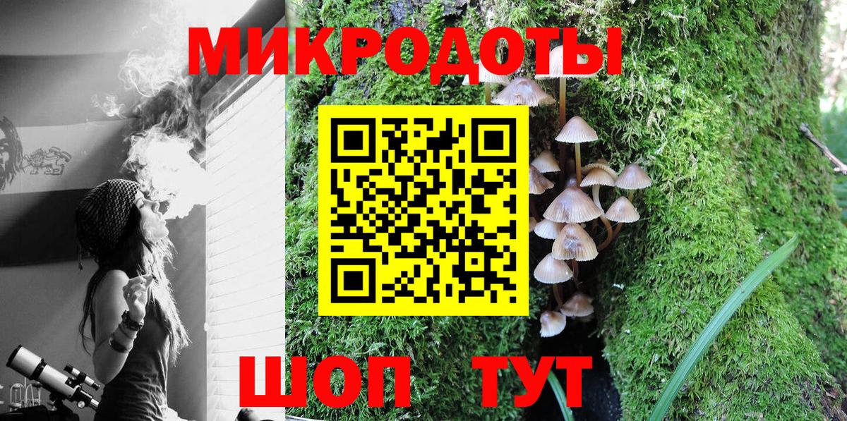 Сургут  Галлюциногенные грибы мицелий  Галлюциногенные грибы Psilocybe  Вход с VPN 