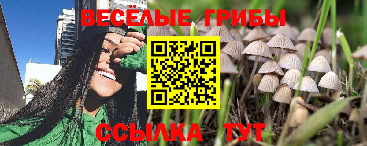 Псилоцибиновые грибы мухоморы Сургут